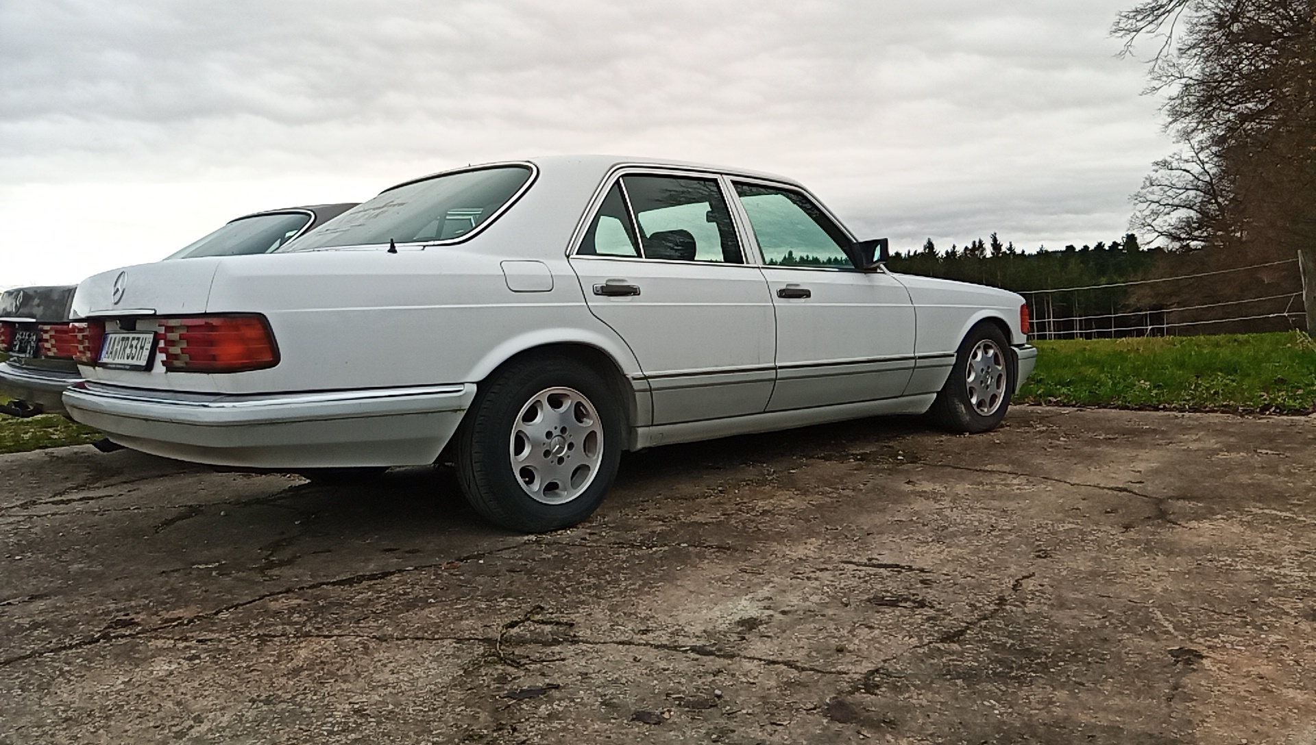 W126 500SE in weiß mit grünem Stoff