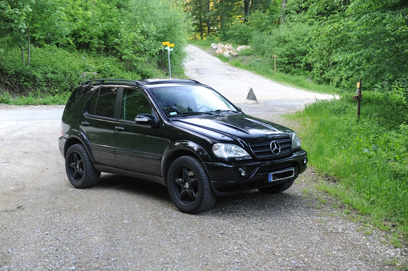 kleine Pause im Wald -1