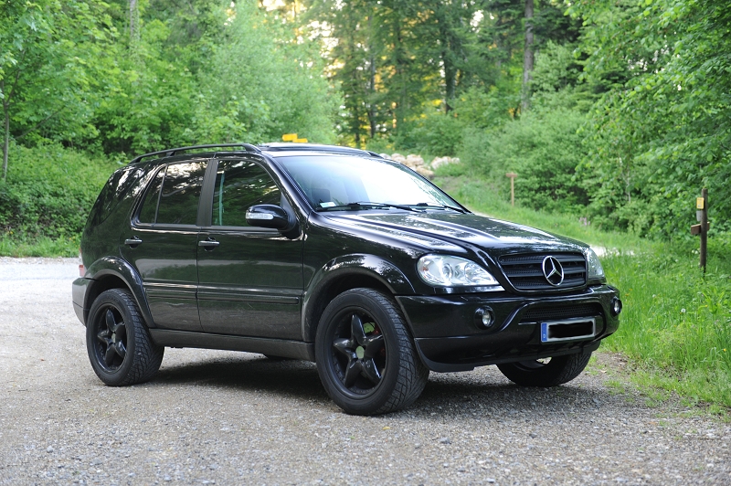 kleine Pause im Wald -2